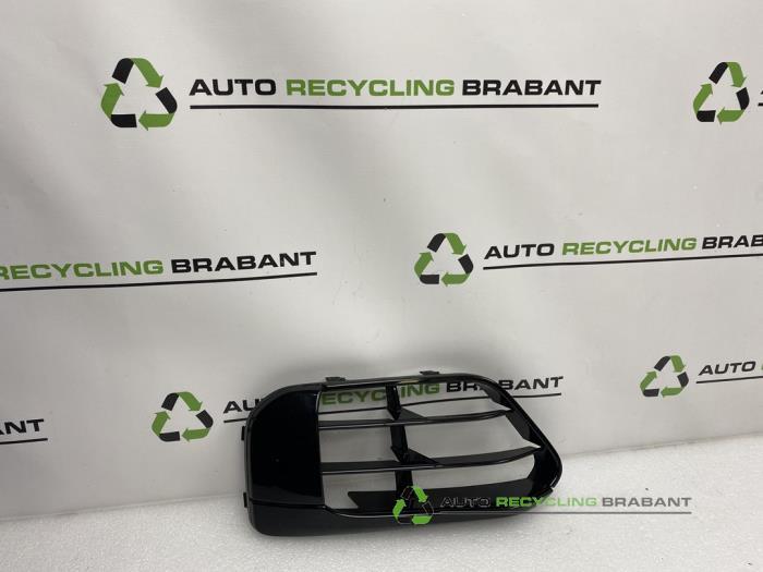 Pare-chocs grille d'un BMW X1, Autos : Pièces & Accessoires, -, 3 mois de garantie, Utilisé, -