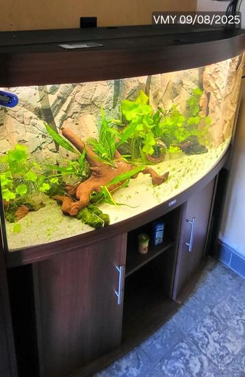 Volledig Juwel Vision 260L Aquarium  beschikbaar voor biedingen