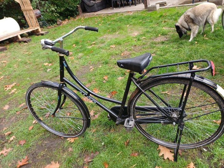 oma fietsen, Fietsen en Brommers, Fietsen | Dames | Omafietsen, Gebruikt, 53 tot 56 cm, Handrem, Ophalen