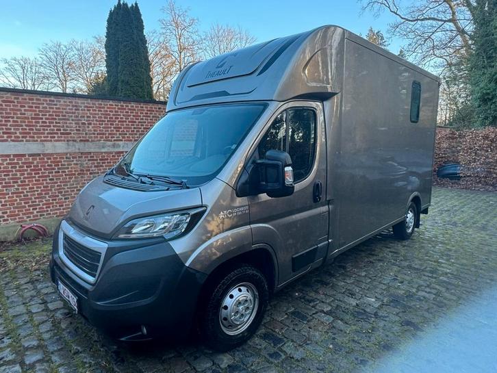 camion à chevaux | Theault B van 2 horses, Animaux & Accessoires, Chevaux & Poneys | Semi-remorques & Remorques, Comme neuf, Remorque 2 chevaux