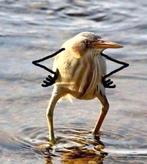 Automaat auto , wie o wie ! Klein budget, Autos, Suzuki, Particulier, Automatique, Achat