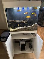 Juwel lido 120, Dieren en Toebehoren, Ophalen, Zo goed als nieuw