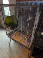 Je vends grand Cage avec perruche ondulé, Ophalen, Zo goed als nieuw