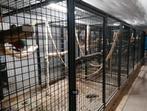 Panneaux de volière noirs pour perroquets, Animaux & Accessoires, Oiseaux | Cages & Volières, Comme neuf, Enlèvement, Métal, Volière