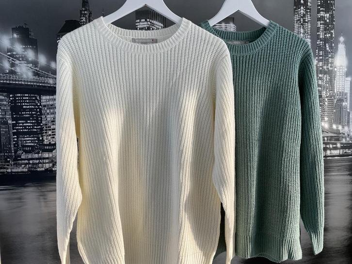 NIEUW - 2 prachtige truien wit groen - maat 46/48, Kleding | Dames, Truien en Vesten, Nieuw, Maat 46/48 (XL) of groter, Groen