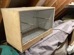 Te koop kweek kooien = 2stuks, Dieren en Toebehoren, Ophalen of Verzenden, Zo goed als nieuw