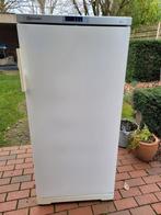 Bauknecht GKEA 2400 208 L Diepvrieskast, Elektronische apparatuur, Vriezers en Diepvrieskisten, Ophalen