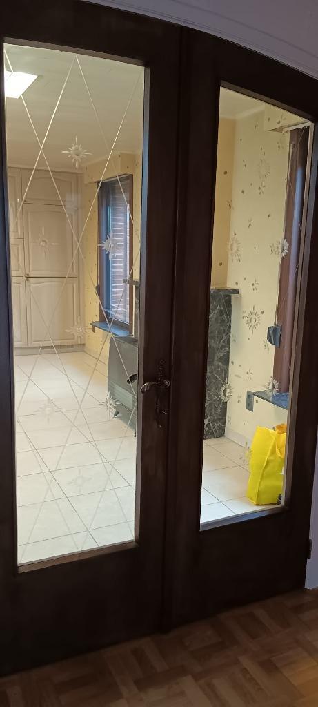 Vintage glazen binnendeur, Doe-het-zelf en Bouw, Deuren en Vliegenramen, Zo goed als nieuw, Binnendeur, 200 tot 215 cm, 100 tot 120 cm