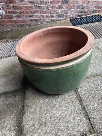 Grote Bloempot beschikbaar voor biedingen