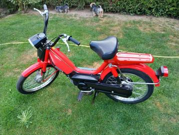HONDA CAMINO S KLASSE B MONO beschikbaar voor biedingen