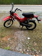 Honda px, Bedrijf, Overig
