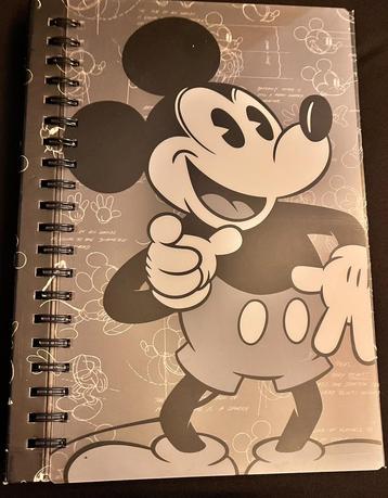 Mickey mousse fotoalbum 200 foto’s (25/2), Enlèvement ou Envoi
