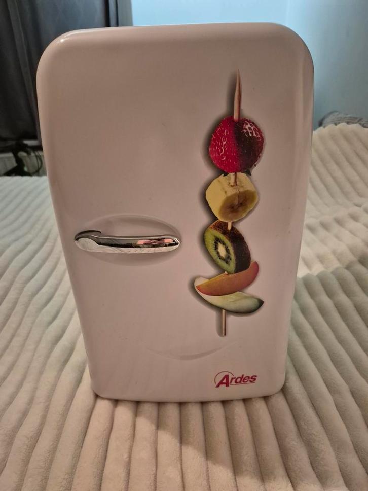 Koelkast met vintage doos, Elektronische apparatuur, Koelkasten en IJskasten