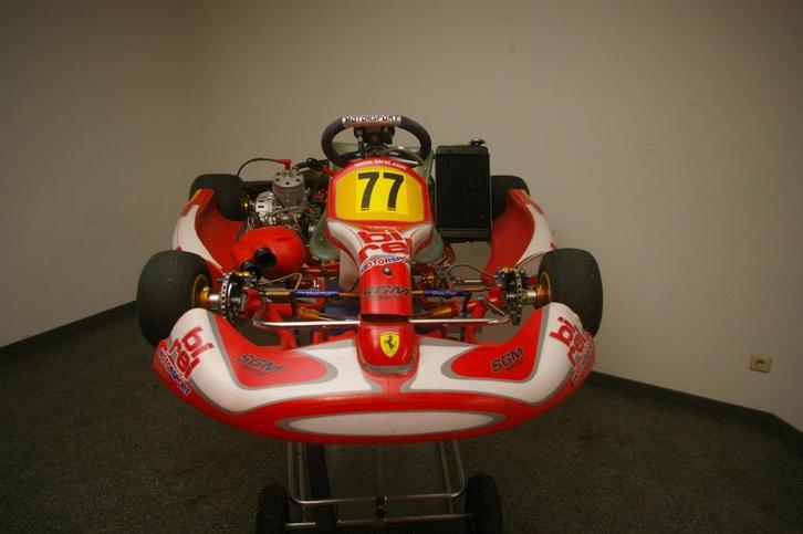 Go-kart, Sport en Fitness, Karting, Zo goed als nieuw, Kart, Ophalen