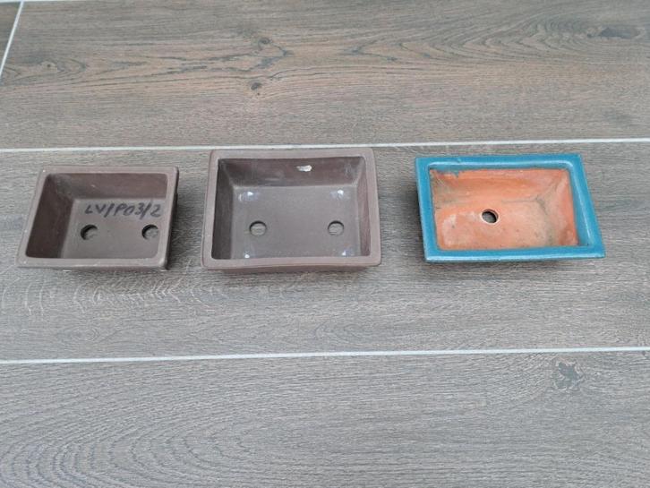 Schaal voor bonzai boompje, Tuin en Terras, Bloempotten, Nieuw, Aardewerk, Tuin, Minder dan 40 cm, Minder dan 25 cm, Rechthoekig