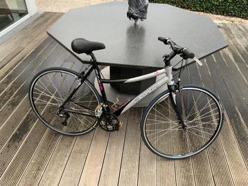 Dames sportfiets  beschikbaar voor biedingen