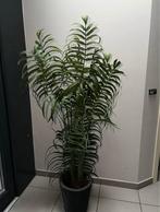 Grande plante artificiel verte ikea avec son pot noir, Enlèvement, Comme neuf