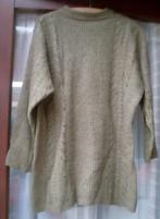Trui maat L, Kleding | Dames, Truien en Vesten, Ophalen of Verzenden, Gedragen, Maat 42/44 (L), Bruin
