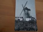 denderwindeke molen der zeven weeën, Verzamelen, Postkaarten | België, Ophalen of Verzenden, Ongelopen, Oost-Vlaanderen