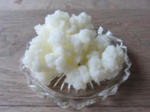 Melkkefir bloemetjes, Diversen, Levensmiddelen, Ophalen