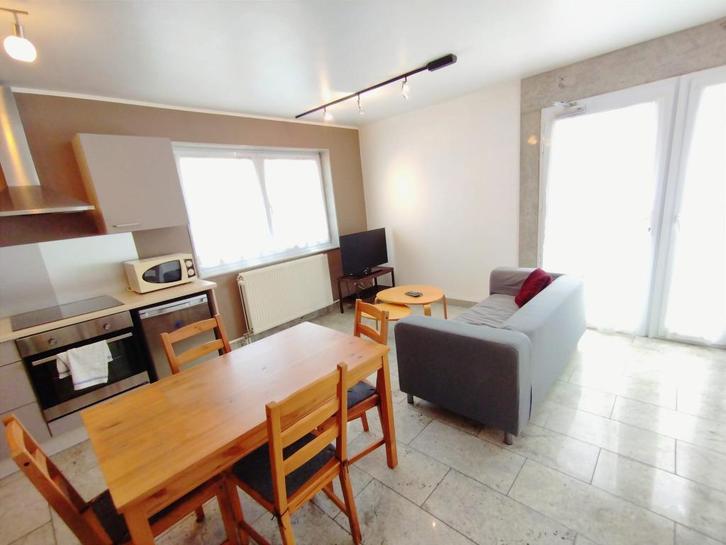 Appartement 1 ch location meublée flexible TV + Wifi etc., Immo, Expat Rentals, Appartement
