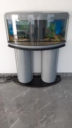 Komplete Aquarium, Dieren en Toebehoren, Ophalen