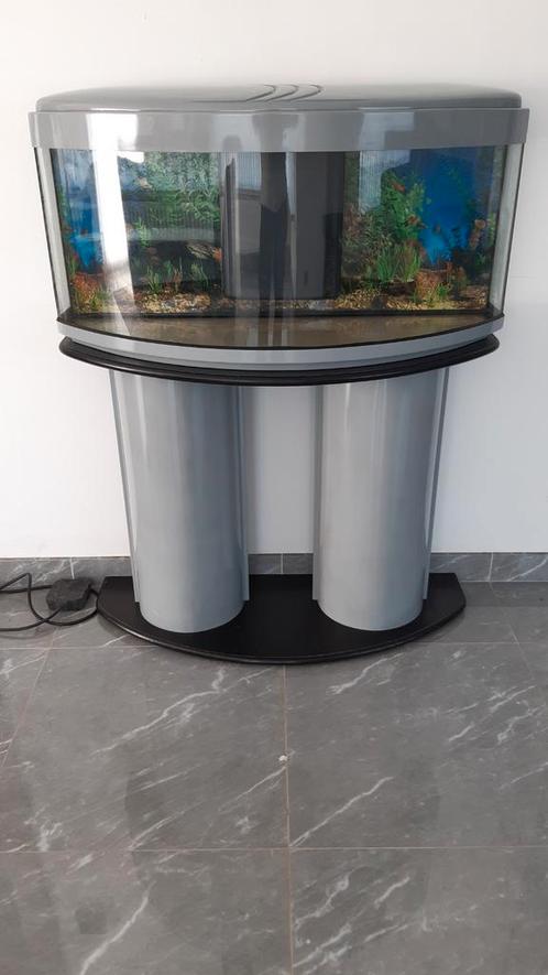 Komplete Aquarium, Dieren en Toebehoren, Vissen | Aquaria en Toebehoren, Ophalen