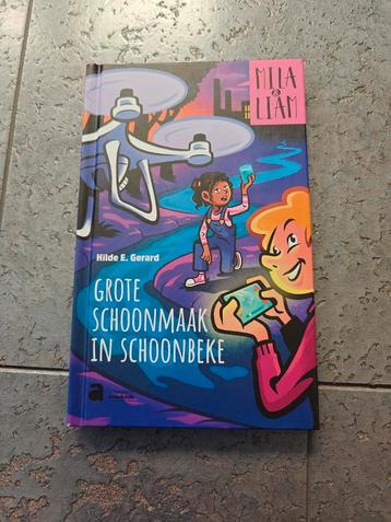 Boek Grote schoonmaak in Schoonbeke beschikbaar voor biedingen