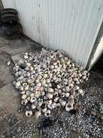 Sier schelpen gratis, Tuin en Terras, Ophalen, Gebruikt