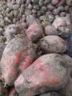 Bieten, Enlèvement ou Envoi