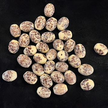 Kralen Indisch glas bruin oker goud beschikbaar voor biedingen