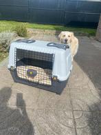 Bench Xl grote hond auto, Dieren en Toebehoren, Ophalen, Zo goed als nieuw