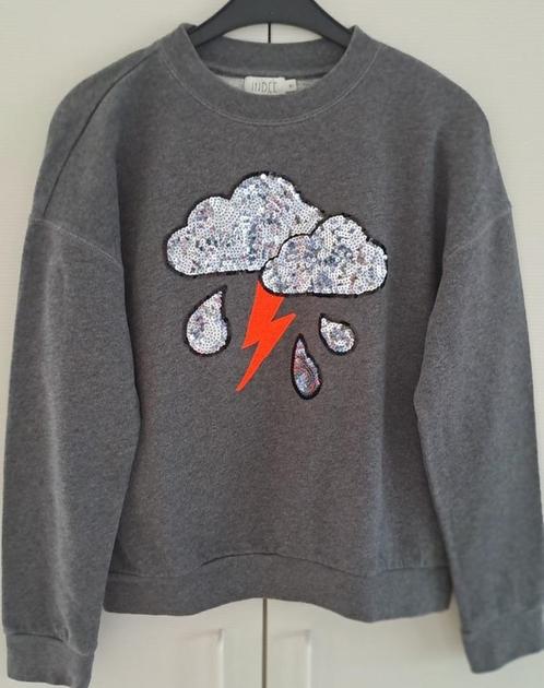 Indee sweater (16 jaar), Kinderen en Baby's, Kinderkleding | Maat 176, Zo goed als nieuw, Meisje, Trui of Vest, Ophalen of Verzenden