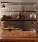 Terrarium te koop, Dieren en Toebehoren, Ophalen, Zo goed als nieuw, 90 cm of meer, Hok