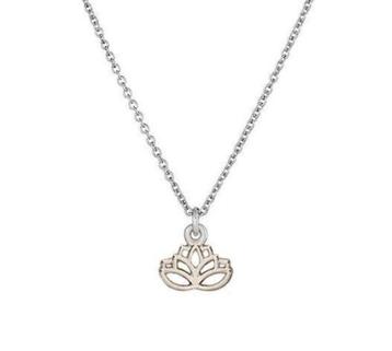 Lotus zilverkleurig aan ketting, op cadeaukaartje beschikbaar voor biedingen