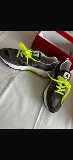 Kiekers schoenen, Sport en Fitness, Basketbal, Ophalen, Zo goed als nieuw, Schoenen