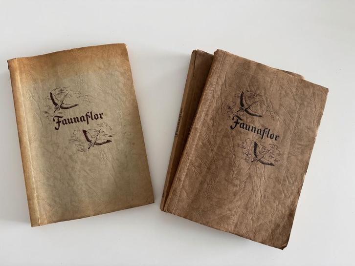 Côte d'Or - Faunaflor I & II, Boeken, Prentenboeken en Plaatjesalbums, Gelezen, Ophalen of Verzenden