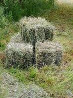 Petits ballots de foin, Enlèvement