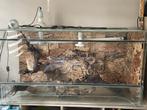 vivarium, Animaux & Accessoires, Enlèvement, Utilisé, Terrarium ou Paludarium