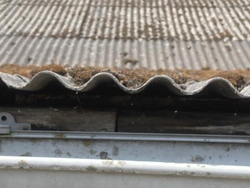 eternit golfplaten, Doe-het-zelf en Bouw, Dakpannen en Dakbedekking, Gebruikt, Golfplaat, Overige materialen, Ophalen