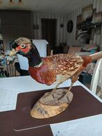 Fazant, Dieren en Toebehoren, Pluimvee