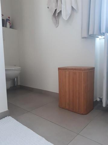 Linnenmand/wasmand. beschikbaar voor biedingen