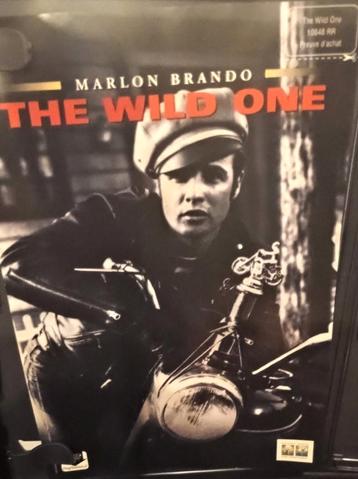 DVD-verzamelaar Marlon Brando in The Wild One, zeer zeldzaam beschikbaar voor biedingen