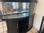 Juwel vision 450L met veel toebehoren, Dieren en Toebehoren, Ophalen, Gebruikt, Leeg aquarium
