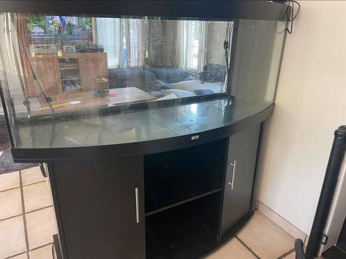 Juwel vision 450L met veel toebehoren, Dieren en Toebehoren, Vissen | Aquaria en Toebehoren, Gebruikt, Leeg aquarium, Ophalen