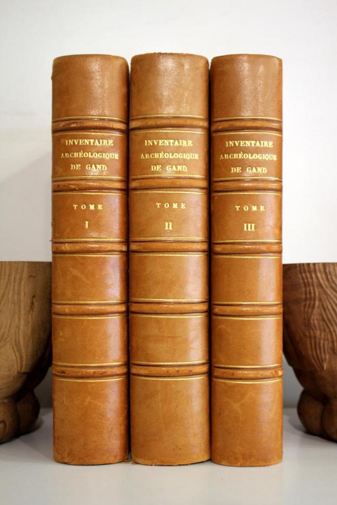 Inventaire archéologique de Gand Van N 1 tot 57, Boeken, Geschiedenis | Stad en Regio, Gelezen, Ophalen of Verzenden