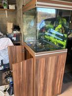 aquarium, Enlèvement, Utilisé, Aquarium vide