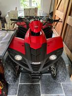 Masai A330 Quad – 2009 – Slechts 2500km – Topstaat, Meer dan 35 kW, 2 cilinders, 330 cc