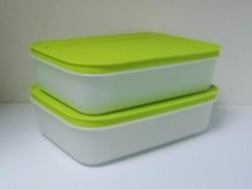 Tupperware Doos « Igloo » Diepvriezer - 1 Liter x 2 - Groen, Huis en Inrichting, Keuken | Tupperware, Nieuw, Bus of Trommel, Groen