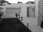 villa  kelibia, Immo, Buitenland, Tunisie, Buiten Europa, 450 m², 6 kamers